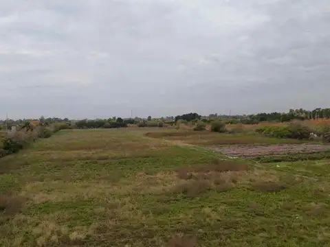 CAMPO EN VENTA EN LA PLATA