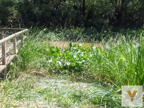 Terreno en Venta en Delta del Tigre, Partido de Tigre