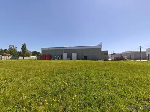 Terreno en Venta 42  mts Fondo