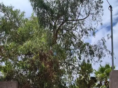 Vendo Lote en Coquimbito