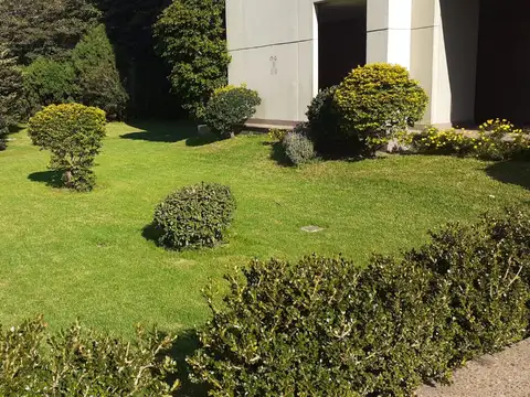 Departamento en Alquiler 25 años