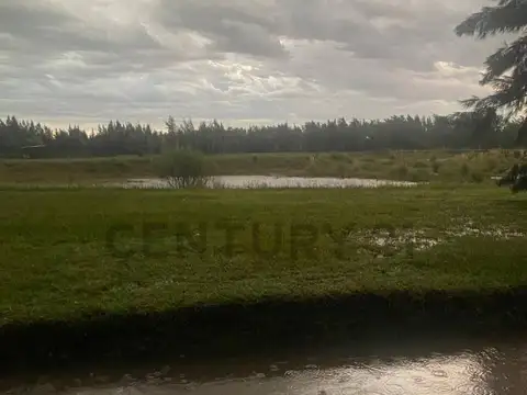 Terreno en Venta en Coronel Brandsen, USD 11.800