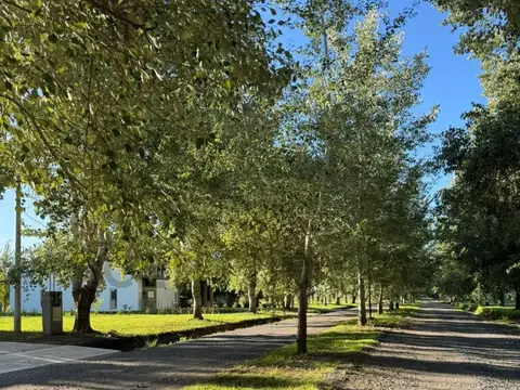 LOTE EN VENTA EN BRANDSEN