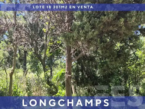 CANALEJAS  al 1000