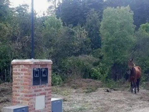 Terreno en Venta 15  mts Frente