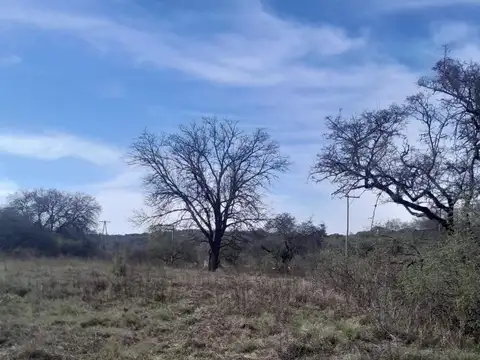 Av. La Blanqueada al 800