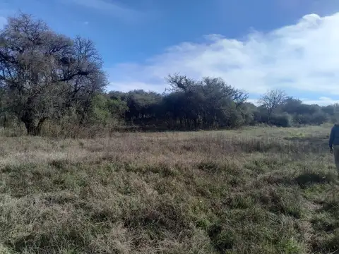 Av. La Blanqueada al 800