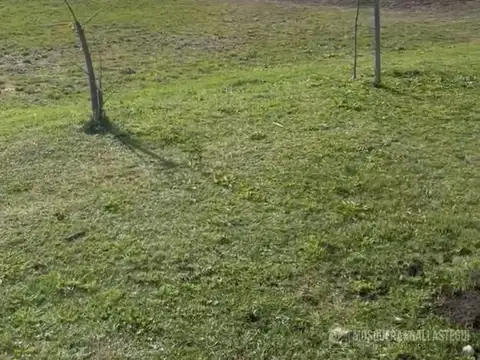 Terreno en Venta en Pilar Del Este, USD 36.500