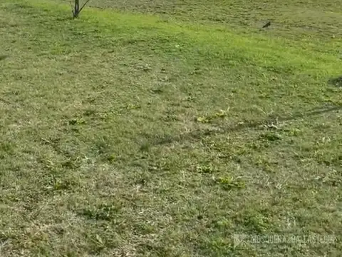 Terreno en Santa Elisa