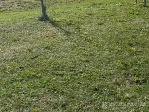 Terreno en Venta en Pilar Del Este, USD 36.500