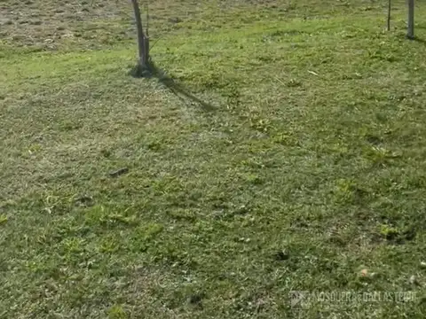 Pilar del Este Santa Elisa al 100