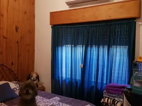 De Vicenzo Grande.  Cod: 10740