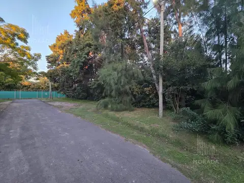 Terreno en Venta 32  mts Fondo