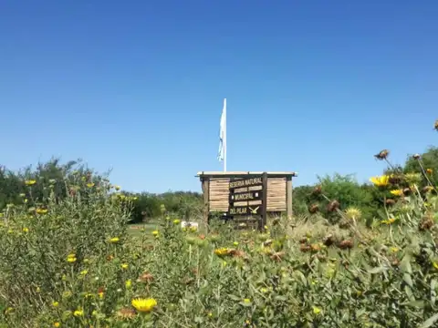 Terreno en Venta de 190641,0 m2