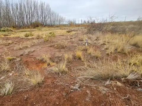 Terreno en Venta en Plottier, USD 8.500