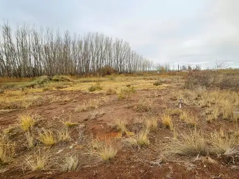 VENTA DE TERRENO DE 300 M2  - LOTEO AMEDEA
