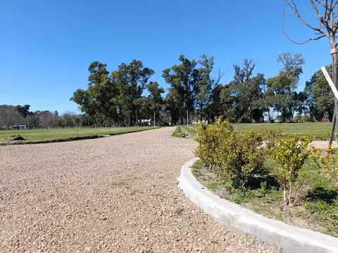 Terreno en Venta en Los Talas, USD 31.500