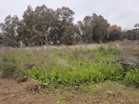 Terreno en Venta 44  mts Fondo