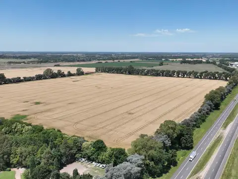 Campo sobre Ruta 8 (Autopista)