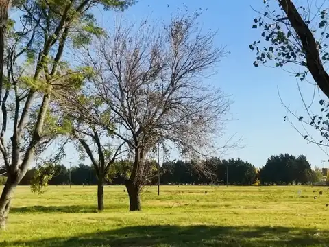 Terreno en Venta 33  mts Fondo