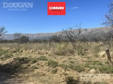 Terreno en  Carpintería 