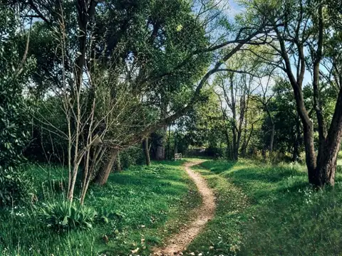 CAMPO EN VENTA CORONEL BRANDSEN