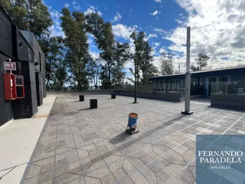 Local en Paseo Eucaliptus - Terraza de 155 mts
