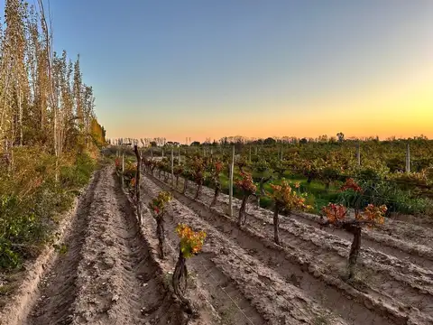 Terreno en Venta en Nueva California, San Martín
