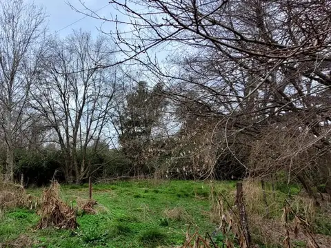 LOTE EN VENTA VILLA ELISA