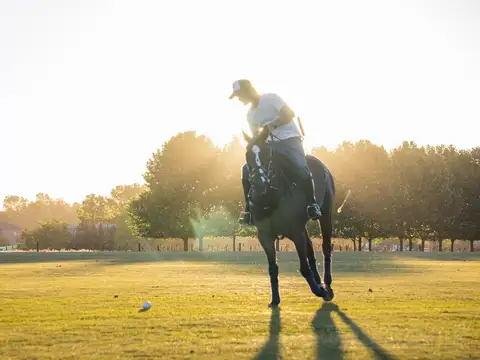 Terreno en Venta en Pilara, USD 325.000