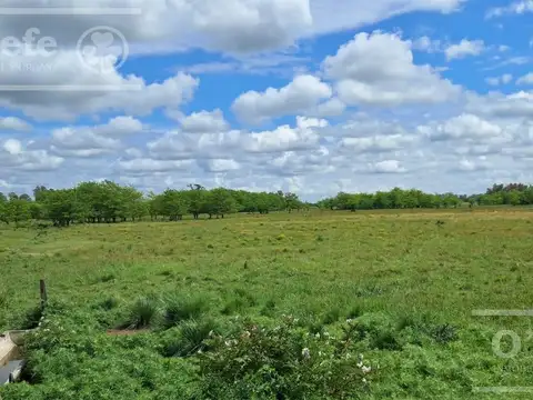 Excelente fraccion de 60 hectareas mixtas en San Andres de Giles. BS.AS