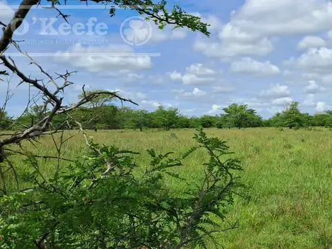 Campo en venta de 60 has en San Andres de Giles