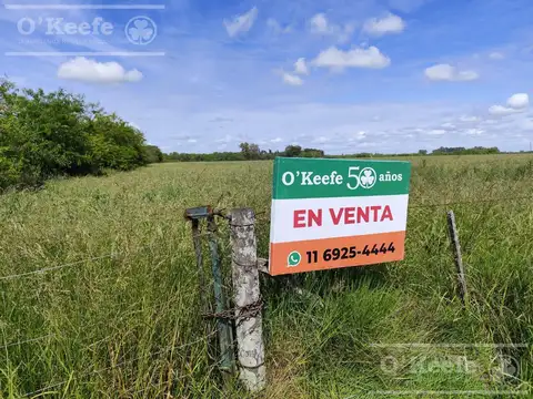 Campo en venta de 60 has en San Andres de Giles