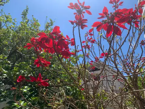 Departamento 4 ambientes con 3 baños