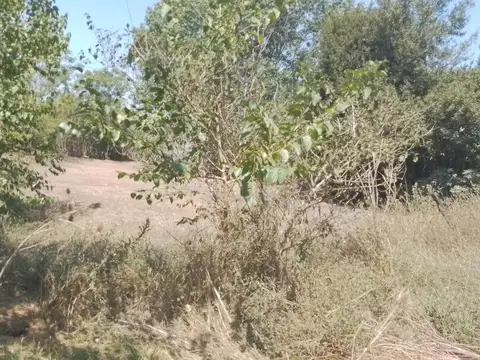 Terreno en Venta de 956,0 m2