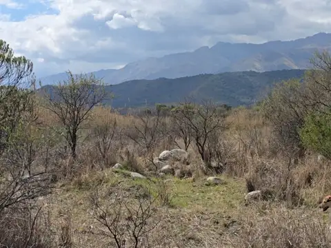 A cuadras de la ruta