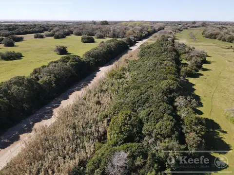 Campo en  venta 295 has Magdalena