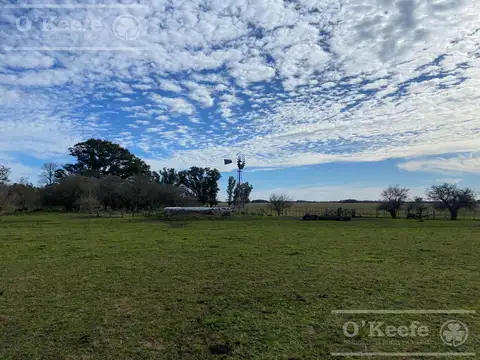 Campo en  venta 295 has Magdalena