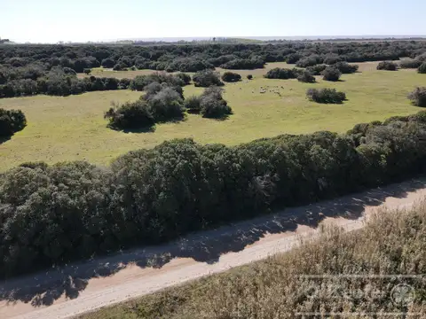 Campo en  venta 295 has Magdalena