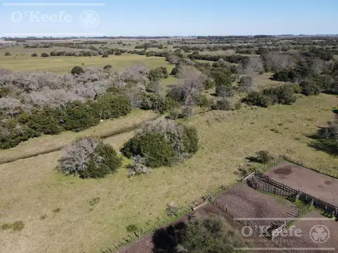 Campo en  venta 295 has Magdalena