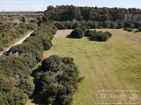 Campo en  venta 295 has Magdalena