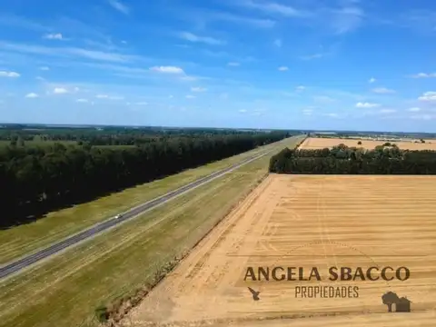 Ruta 193, Capilla Del Señor.