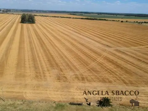 Ruta 193, Capilla Del Señor.