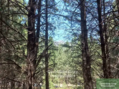 Terreno en Venta en San Martin de los Andes, Lácar