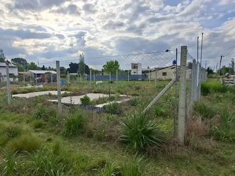 La Carona II 1000
