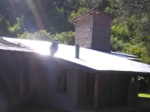 ruta 40  al 1900 Los repollos