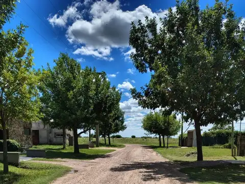 TERRENO DE GRANDES DIMENSIONES EN ZONA RESIDENCIAL