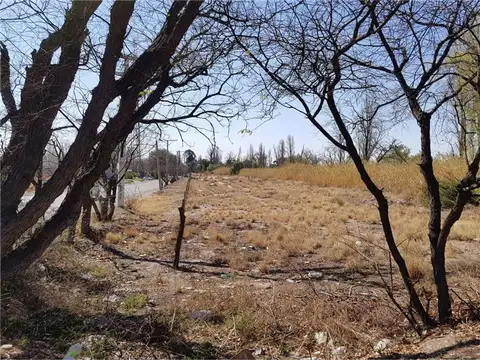 Terreno en Venta en Coronel Dorrego, USD 5.400.000