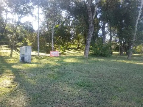San Lorenzo 100