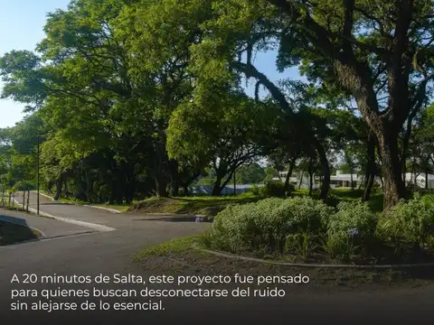 San Lorenzo 100